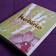 Meu projeto do curso: Livros pop-up interativos: crie mundos de papel. Un proyecto de Artesanía, Diseño editorial, Papercraft, Encuadernación y Creatividad con niños de Denilson Castro - 21.07.2021