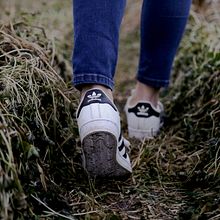 An Idle Ramble - Zoo edition. Un projet de Écriture, Créativité, Stor, telling , et Narration de shievanisingh - 21.06.2021