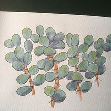 My project in Botanical Sketchbooking: A Meditative Approach course. Un proyecto de Ilustración tradicional, Bocetado, Dibujo, Pintura a la acuarela, Ilustración botánica y Sketchbook de Cecilia Gustavsson - 22.06.2021