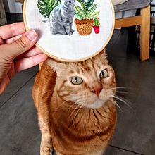 Bordado en fotografías sobre tela: Chipi. Projekt z dziedziny Fotografia,  Kolaż, Papercraft, Stemple,  Haft i DIY użytkownika Natalia - 20.06.2021