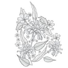 Mi Proyecto del curso: Ilustración y diseño de patrones florales. Traditional illustration, Painting, Pattern Design, Drawing, and Botanical Illustration project by Mayra Alejandra - 06.21.2021