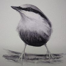 Estudo tonal (aquarela e grafite). Traditional illustration project by Lindsay Korth - 06.22.2021
