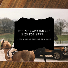 THE YEAR OF THE HORSES: a memoir. Un progetto di Scrittura, Stor e telling di Courtney Maum - 04.05.2021