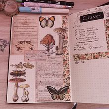 Mi Proyecto del curso:  Bullet journal creativo: planificación y creatividad . Projekt z dziedziny Trad, c, jna ilustracja, T, pografia,  R, sunek,  Pismo dekorac i jne użytkownika Daniela Vazquez - 24.06.2021