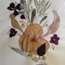 Mi Proyecto del curso: Técnicas básicas de prensado botánico. Un progetto di Artigianato, Belle arti, Collage e DIY di M.Lucrecia Baldassarre - 22.06.2020