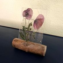 Mi Proyecto del curso: Técnicas básicas de prensado botánico. Arts, Crafts, Fine Arts, Collage, and DIY project by carnavbe - 06.15.2021