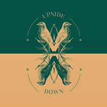 Upside Down. Design, Graphic Design, Digital Design, Art Direction, Collage, and Creativit project by Luana Monteiro - 06.22.2021