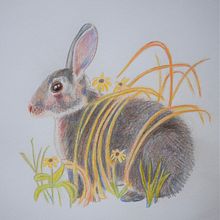 My project in Surrealist Illustration Inspired by Nature course. Traditional illustration, Pencil Drawing, Drawing, Artistic Drawing, and Naturalistic Illustration project by Sharon Guy - 06.25.2021