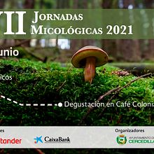 Muestra diseño multimedia. Un proyecto de Publicidad, Diseño, Diseño gráfico y Marketing de Daniel Coloma - 25.06.2021