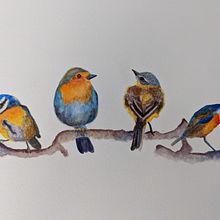 My project in Artistic Watercolor Techniques for Illustrating Birds course. Traditional illustration, Watercolor Painting, Realistic Drawing, and Naturalistic Illustration project by saralaskowski - 06.25.2021