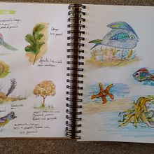 My project in Illustration Techniques to Unlock your Creativity course. Een project van  Ontwerp, Traditionele illustratie,  Beeldende kunst, Schilderij,  Creativiteit, Creativiteit met kinderen y Sketchbook van Mariyn Weimer - 20.06.2021