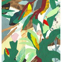 Jungle Collage (self-directed project). Un proyecto de Ilustración tradicional de Susannah Garden - 26.06.2021
