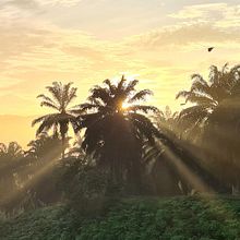 My project in Color Theory in Photography course. Photograph, Photo Retouching, Digital Photograph, Photographic Composition, and Color Theor project by leetzeian - 06.26.2021