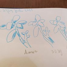 Mi Proyecto del curso: Naturaleza ilustrada: una exploración creativa. Een project van Traditionele illustratie, Schilderij,  Tekening, Aquarelschilderen,  Illustratie met inkt y Naturalistische illustratie van Karim Aliaga - 27.06.2021