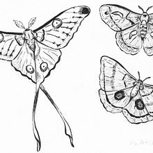 My project in Daily Sketching for Creative Inspiration course. Traditional illustration, Sketching, Creativit, Drawing, and Sketchbook project by jo - 06.27.2021