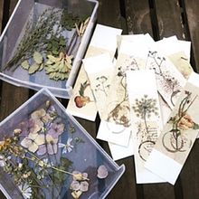 Mi Proyecto del curso: Técnicas básicas de prensado botánico -Puntos de libro inspirados en Emily Dickinson. Un proyecto de Artesanía, Bellas Artes, Collage y DIY de Anna Gomà - 27.06.2021