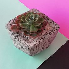 Mi Proyecto del curso: Creación de muebles en concreto para principiantes. Un proyecto de Artesanía, Diseño, creación de muebles					, Diseño de interiores, Interiorismo y DIY de Anghelo Rodríguez - 27.06.2021