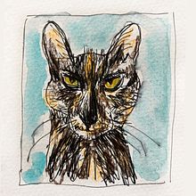 My project in Illustrating Nature: A Creative Exploration course. Projekt z dziedziny Trad, c, jna ilustracja,  Malarstwo,  R, sunek, Malowanie akwarelą,  R, sunek atramentem, Ilustracja naturalist i czna użytkownika Gül Günizi - 28.06.2021