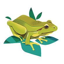 Fauna de los humedales. Traditional illustration, Naturalistic Illustration, Digital Illustration, Botanical Illustration, and Editorial Illustration project by Dani Maiz - 06.24.2021