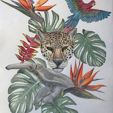 Mi Proyecto del curso: Ilustración comercial con lápices de colores. Pencil Drawing, and Traditional illustration project by Isabel Quiroga Castro - 06.29.2021