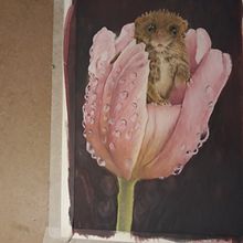 Animals in Coloured Pencil . Desen și Arte plastice de Chez Waters - 06.29.2021