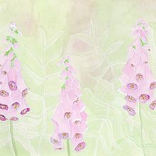 Mein Kursprojekt: Negative Aquarelltechniken zur botanischen Illustration. Ilustração tradicional, Pintura em aquarela e Ilustração botânica projeto de Sylvi H - 29.06.2021