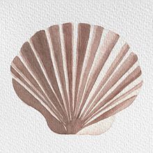 Mi Proyecto del curso: Ilustración de elementos naturales en acuarela. Ilustração tradicional, Pintura em aquarela e Ilustração naturalista projeto de Antonela Rabbione - 24.06.2021