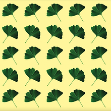 Patterns: 2 - Ginkgo Leaves  . Un proyecto de Diseño, Ilustración tradicional, Fotografía, Diseño gráfico, Pattern Design, Creatividad, Ilustración digital, Estampación, Fotografía digital y Diseño digital de katerina_valiath - 29.06.2021
