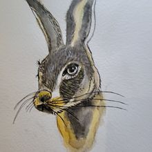 My project in Experimental Watercolor Techniques for Beginners course. Traditional illustration, Fine Arts, Watercolor Painting, and Naturalistic Illustration project by Emery Lay - 06.27.2021