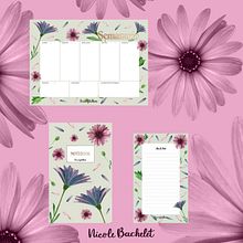 Ilustración Botánica "Dimorphotheca" Ein Projekt aus dem Bereich Traditionelle Illustration, Bildende Künste, Malerei, Zeichnung, Aquarellmalerei und Botanische Illustration von Nicole Bachelet - 01.07.2021