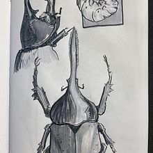 My project in Daily Sketching for Creative Inspiration course. Traditional illustration, Sketching, Creativit, Drawing, and Sketchbook project by Jason Marcum - 06.30.2021