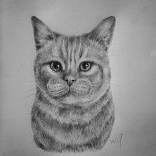 Tierporträts. Un progetto di Disegno realistico di camenzind_moira - 30.06.2021