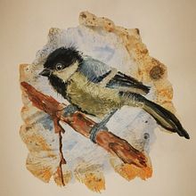 artistic watercolour techniques for illustrating birds. Traditional illustration, and Watercolor Painting project by napiorka - 06.30.2021