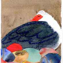 My project in Illustrating Nature: A Creative Exploration course Muscovy Duck. Traditional illustration, Painting, Drawing, Watercolor Painting, Naturalistic Illustration & Ink Illustration project by Nicko King - 06.29.2021