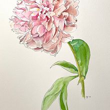 Mein Kursprojekt: Botanisches Zeichenheft: ein meditativer Ansatz. Un progetto di Illustrazione tradizionale, Bozzetti, Disegno, Pittura ad acquerello, Illustrazione botanica e Sketchbook di dannyknebel - 01.07.2021