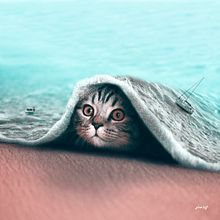 Hidden. Photo Retouching, Traditional illustration, Photograph, and Design project by Julien Tabet - 10.28.2017