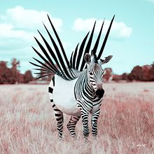 Liberty. Design, Traditional illustration, Photograph, and Photo Retouching project by Julien Tabet - 03.10.2018