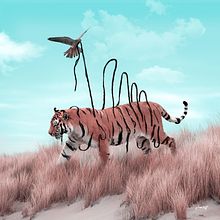 Dexterity. Design, Traditional illustration, Photograph, and Photo Retouching project by Julien Tabet - 07.18.2018