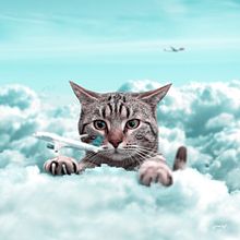 Curious. Design, Traditional illustration, Photograph, and Photo Retouching project by Julien Tabet - 05.19.2019