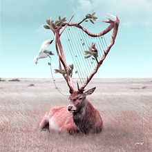 Symphony. Design, Traditional illustration, Photograph, and Photo Retouching project by Julien Tabet - 04.23.2018