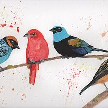 Mi Proyecto del curso: Acuarela artística para ilustración de aves. Un proyecto de Ilustración tradicional, Pintura a la acuarela, Dibujo realista e Ilustración naturalista				 de Katherine Moreno - 01.07.2021