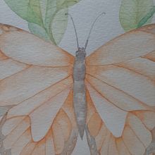 Mi Proyecto del curso: Dibujo y composición naturalista en acuarela. Traditional illustration, Drawing, and Naturalistic Illustration project by Doris Bruno - 06.30.2021