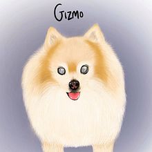 Procreate drawings . Digital Illustration, and Artistic Drawing project by Jassinta Urbano - 07.01.2021