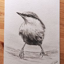 My project in Artistic Watercolor Techniques for Illustrating Birds course. Traditional illustration, Watercolor Painting, Realistic Drawing, and Naturalistic Illustration project by dzasti3 - 07.02.2021