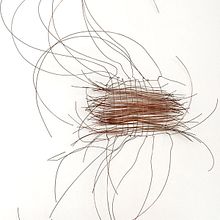 tecelão, 2019, fio de cobre, 60x30cm. Fine Arts project by Juliana Maia - 07.02.2021