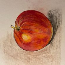 My project in Illustrating Nature: A Creative Exploration course. Traditional illustration, Painting, Drawing, Watercolor Painting, Ink Illustration, and Naturalistic Illustration project by Ally Burrows - 07.03.2021