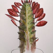 My project in Botanical Sketchbooking: A Meditative Approach course. Traditional illustration, Sketching, Drawing, Watercolor Painting, Botanical Illustration, and Sketchbook project by Pepper Pepper - 07.04.2021