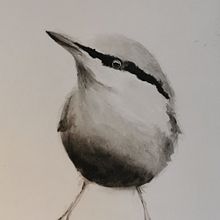 My project in Artistic Watercolor Techniques for Illustrating Birds course. Traditional illustration, Watercolor Painting, Realistic Drawing, and Naturalistic Illustration project by yitingng - 07.05.2021