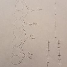 Mi Proyecto del curso: Dibujo anatómico para principiantes. Un projet de Beaux Arts, Esquisse , Dessin au cra, on, Dessin, Dessin réaliste , et Dessin anatomique de Adolfo Pérez López - 24.04.2021