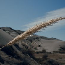 Mi Proyecto del curso: Fotografía para principiantes: descubre tu cámara digital. Projekt z dziedziny Fotografia, Fotografia c, frowa,  Kompoz i cja w fotografii użytkownika Matías Núñez Soto - 06.07.2021